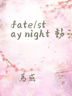 fate/stay night 动漫
