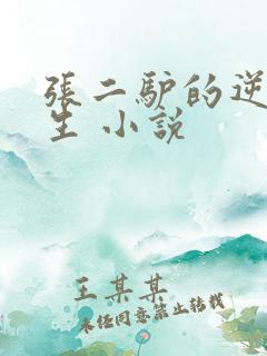 张二驴的逆袭人生 小说