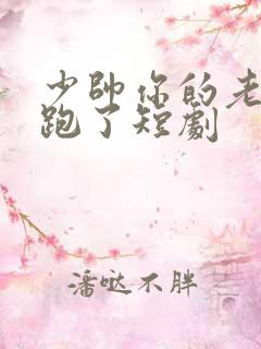 少帅你的老婆又跑了短剧