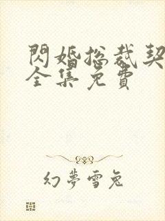 闪婚总裁契约妻全集免费