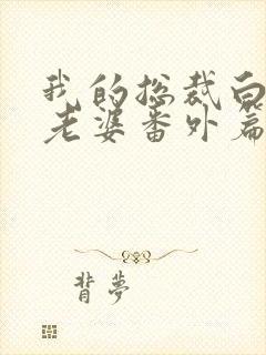 我的总裁白富美老婆番外篇