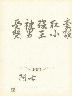 受被强取豪夺的双男主小说