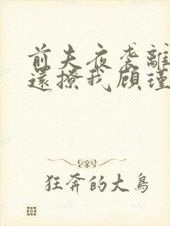 前夫夜袭离婚了还撩我顾瑾衡的小说