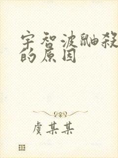 宇智波鼬杀全族的原因