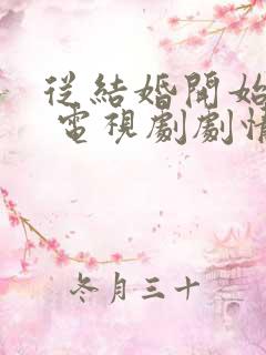 从结婚开始恋爱 电视剧剧情介绍