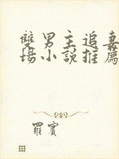 双男主追妻火葬场小说推荐