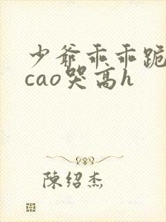 少爷乖乖跪趴被cao哭高h