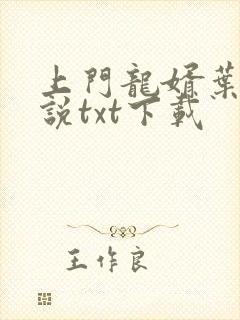 上门龙婿叶辰小说txt下载