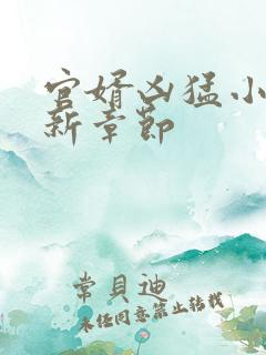 官婿凶猛小说最新章节