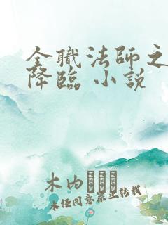 全职法师之欲魔降临 小说