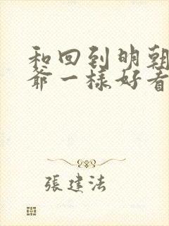 和回到明朝当王爷一样好看的小说