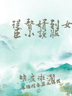 从赘婿到女帝宠臣小说版