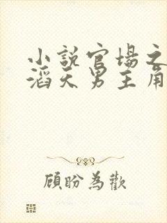 小说官场之权势滔天男主角林峰