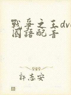 战争之王dvd国语配音