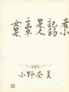 女主是记者男主是军人的小说