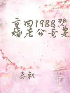 重回1988闪婚老公竟是军区大佬
