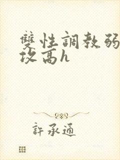 双性调教弱攻虐攻高h