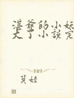 湛爷的小妖精长大了小说完整版本