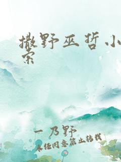 撒野巫哲小说搜索