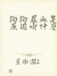 狗狗尿血是什么原因吃什么药