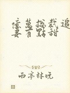 亿万总裁追妻鲜妻有点甜