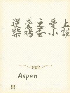 逆袭之爱上情敌柴鸡蛋小说完整版