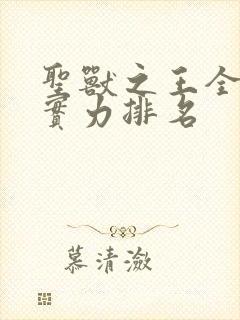 圣兽之王全人物实力排名