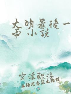 大明最后一位大帝 小说