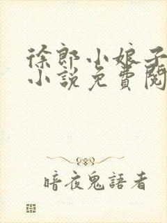 徐郎小娘子穿越小说免费阅读