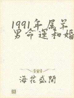 1991年属羊男命运和婚姻如何