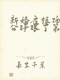 新婚夜植物人老公睁眼了第100集