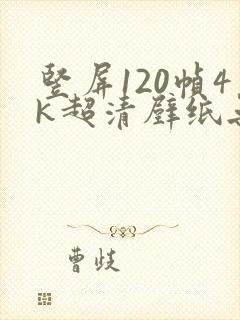 竖屏120帧4k超清壁纸无水印