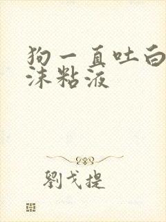 狗一直吐白色泡沫粘液