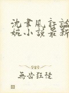 沈聿风许谧宋星婉小说最新章节更新