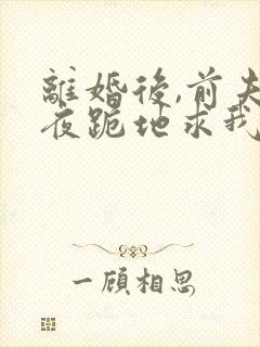 离婚后,前夫雨夜跪地求我复婚免费阅读