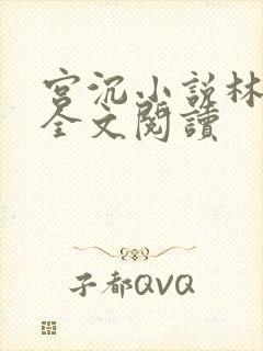 宫沉小说林知意全文阅读