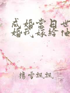 成婚当日世子逃婚我嫁给他爹是什么小说