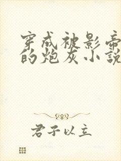 穿成被影帝抛弃的炮灰小说