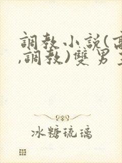 调教小说(高h,调教)双男主