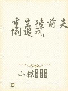 重生后前夫突然倒追我