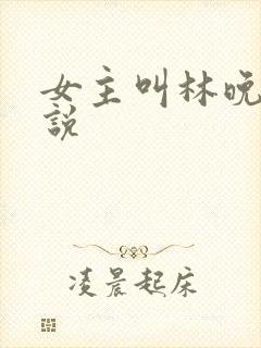女主叫林晚晚小说