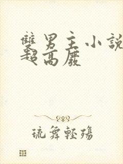 双男主小说车速超高废