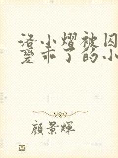 洛小熠被囚禁后变乖了的小说