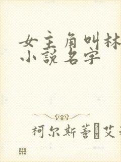 女主角叫林浅的小说名字