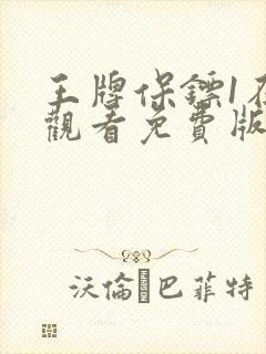 王牌保镖1在线观看免费版高清