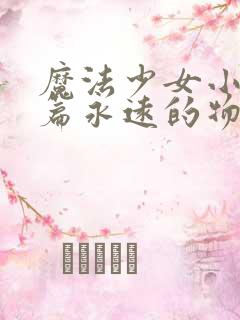 魔法少女小圆后篇永远的物语