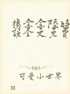 杨念念陆时琛小说全文免费阅读