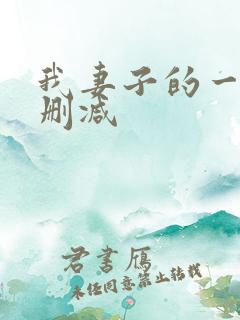 我妻子的一切未删减