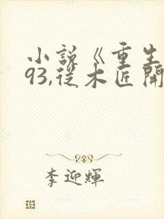 小说《重生1993,从木匠开始》