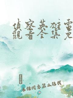 侦察英雄电视剧观看全集免费播放